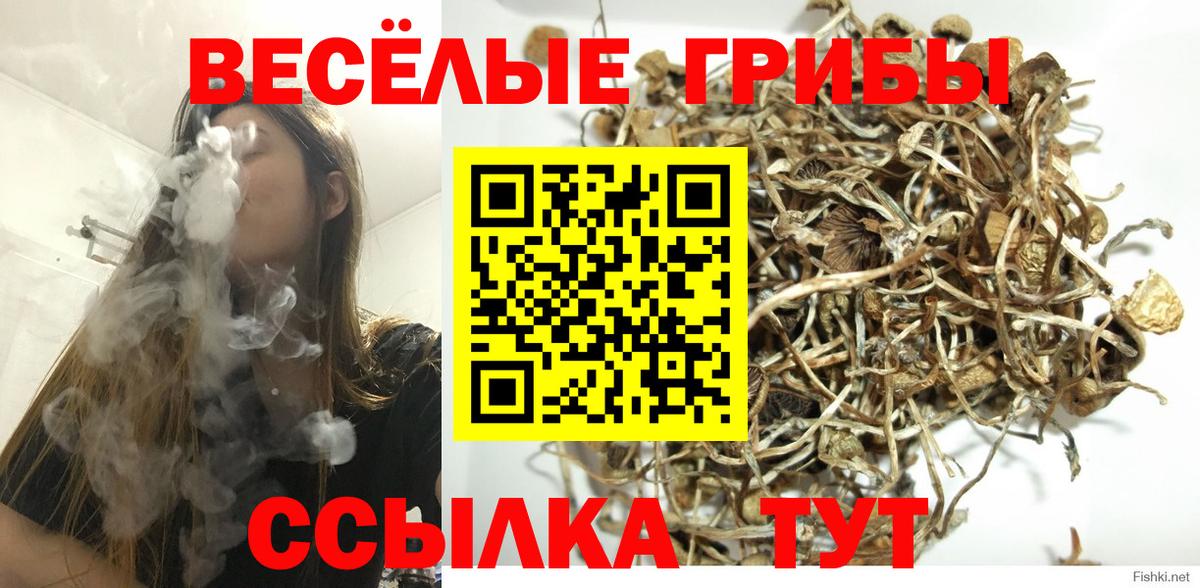 Галлюциногенные грибы Magic Shrooms Александров