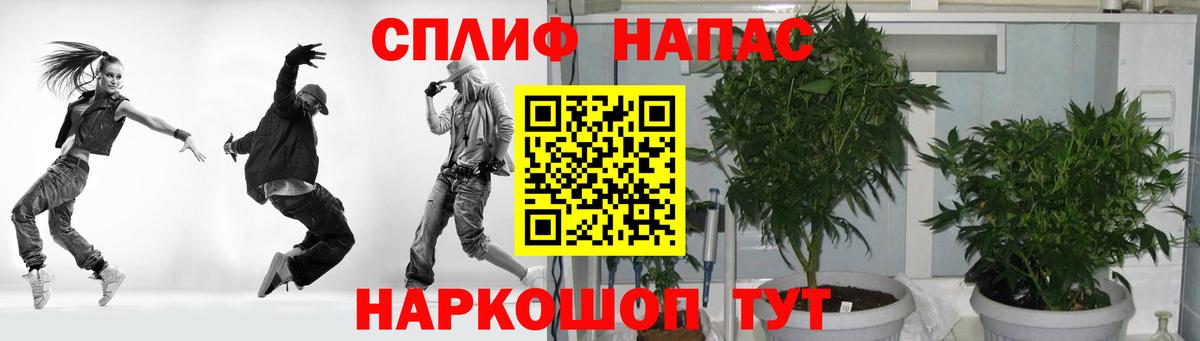Бошки Шишки план Александров